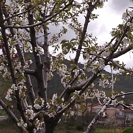 아파트 Amelia Cepeda