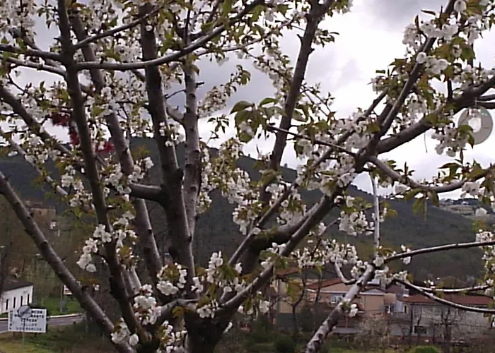 아파트 Amelia Cepeda