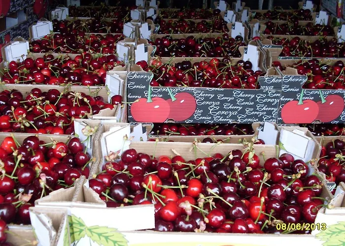 Amelia 아파트 Cepeda